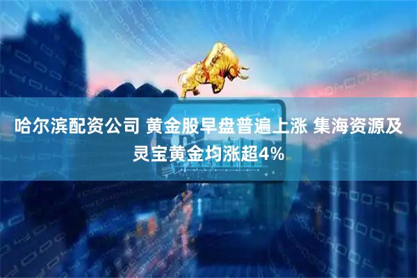 哈尔滨配资公司 黄金股早盘普遍上涨 集海资源及灵宝黄金均涨超4%